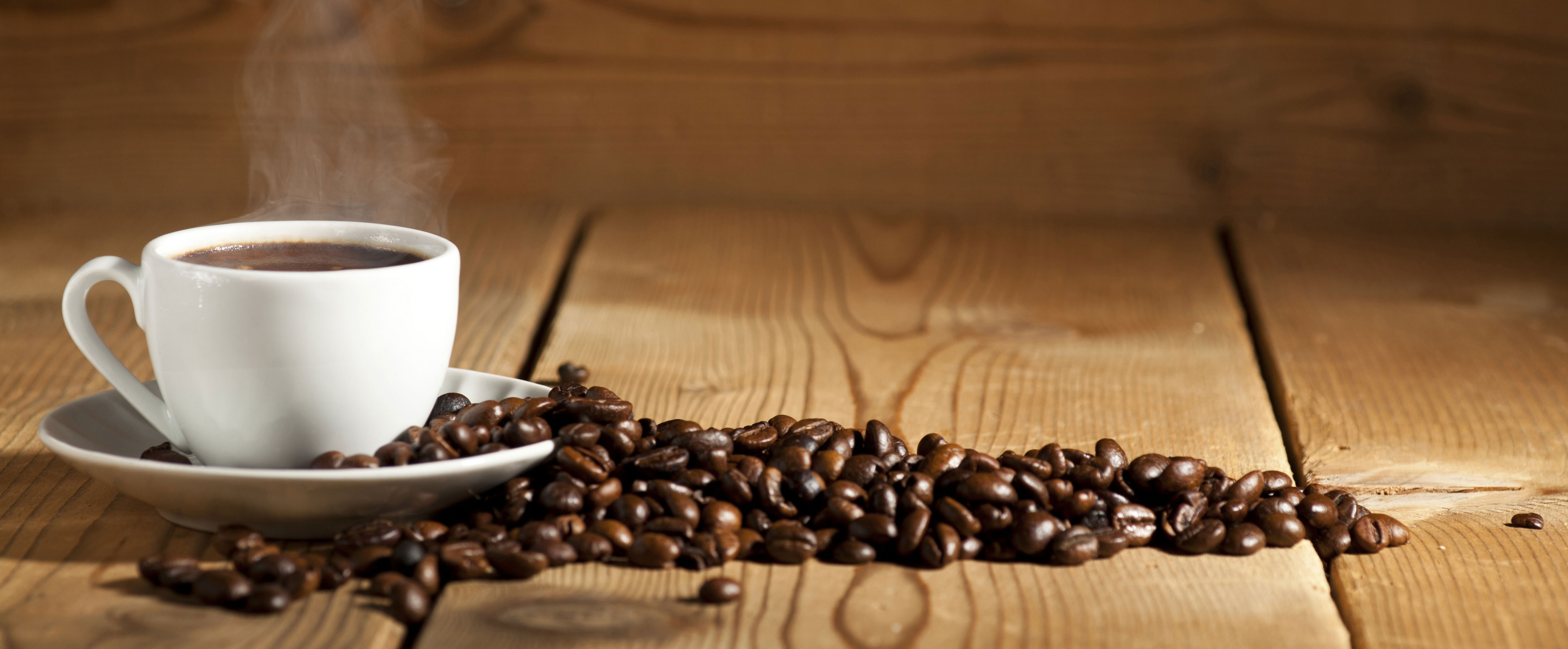 header img